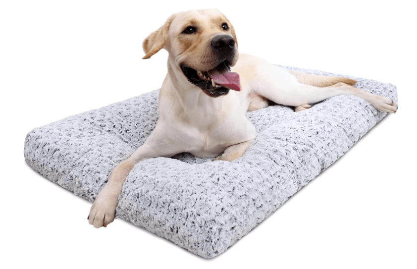 A happy dog laying on a plush gray dog bed, showing off its tongue and relaxed posture.