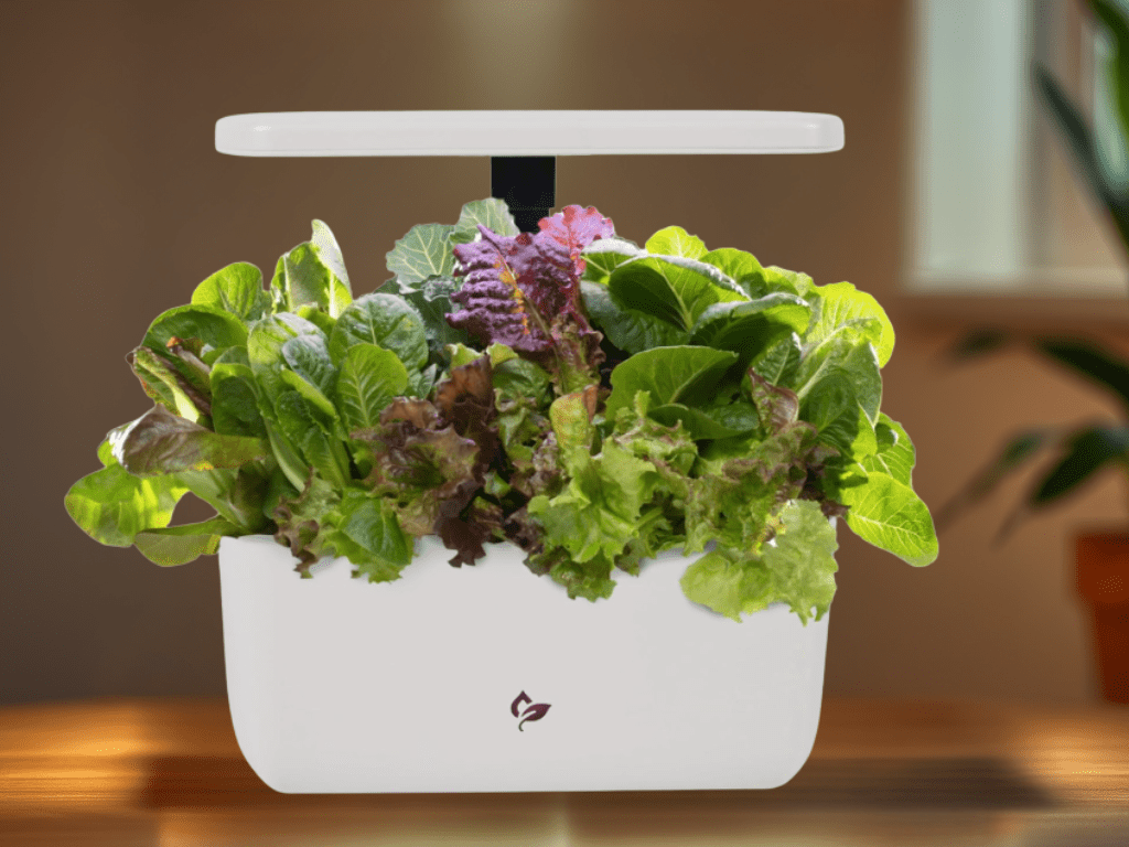 Discounted: 25% Off AeroGarden Harvest 2.0, Indoor Garden Hydroponic&nbsp;System