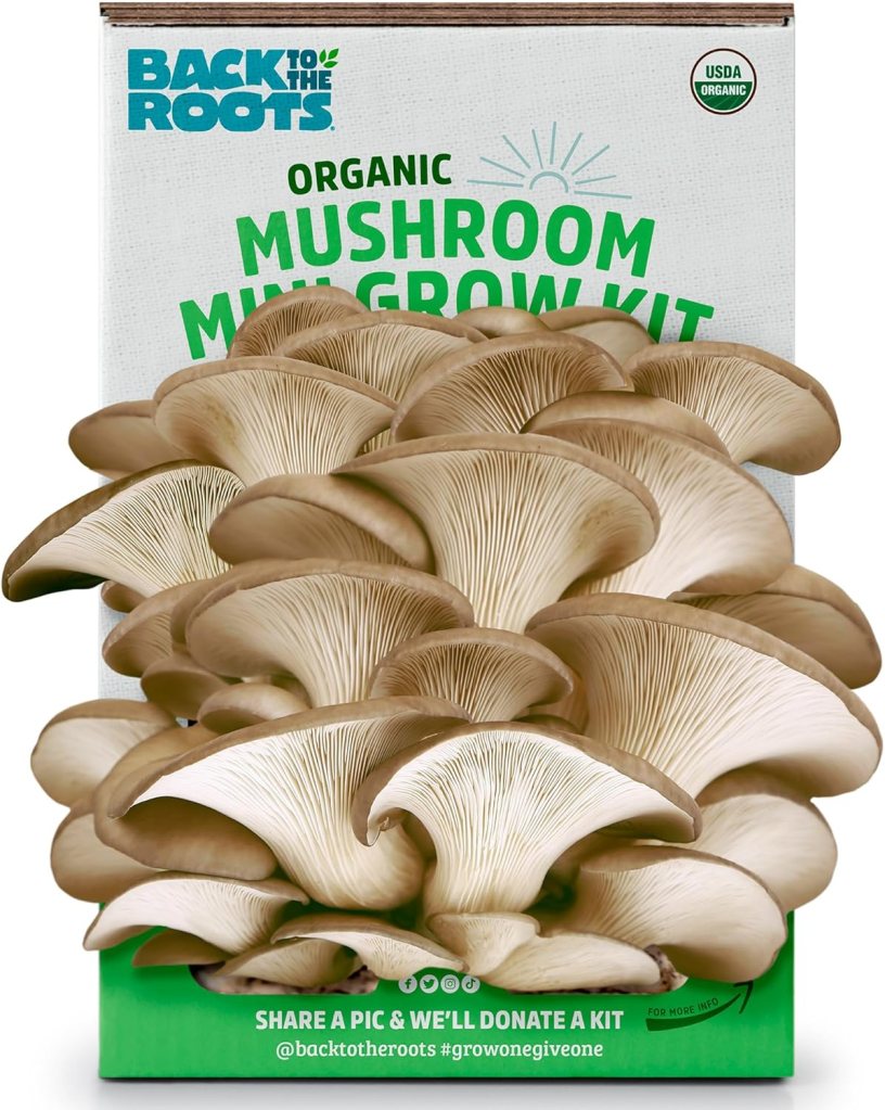 Back to the Roots Organic Mini Mushroom Grow Kit packaging with oyster mushrooms in the foreground.